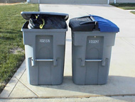 Two trash carts sitting closely to one another.