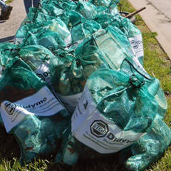 Bags of trash collected into a pile