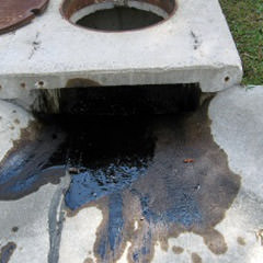 Oil poured down a storm drain