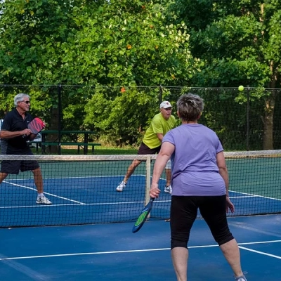 Love pickleball? Play a few games at Dames Park's new court!
