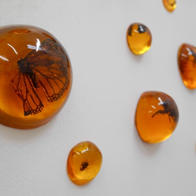 Kristen Tordella-Williams Art