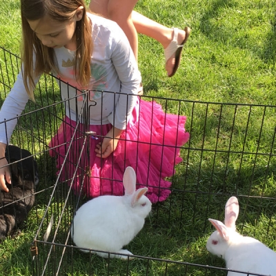 Child pets bunnies at the event.