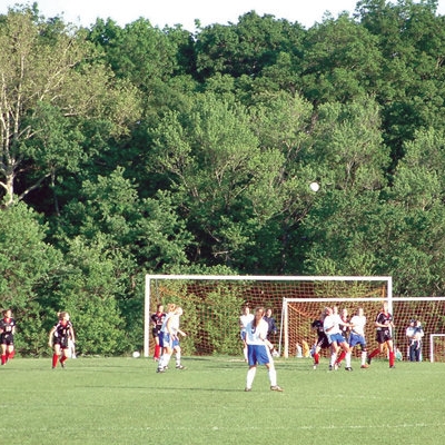 A dozen natural grass soccer fields are surrounded by foilage in Sports Park